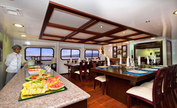 Cormorant Dinning
